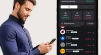 Subflow iOS iPhone iPad Gestion d'Abonnements Paiements Récurrents Factures Gratuit Application Gestionnaire