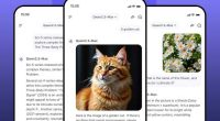 qwenlm qwen chat app ios iphone ipad android chatbot ia generateur images gratuit