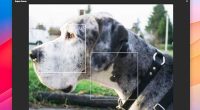 topaz labs photo ai 4 logiciel retouche photo ia extension photoshop lightroom prix