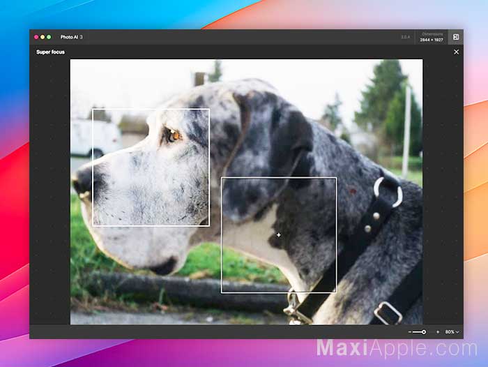 topaz labs photo ai 4 logiciel retouche photo ia extension photoshop lightroom prix