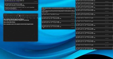 snaps-of-apps-pro-macos-mac-gestion-fenetre-snapshot-applications-gratuit