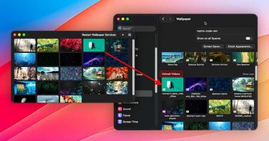 vidwall-hub-macos-mac-logiciel-fonds-ecran-video-animes-gratuit