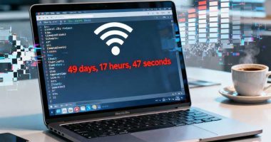 comment-bug-connexion-reseau-internet-deconnexion-49-jours-tcp-macos-mac