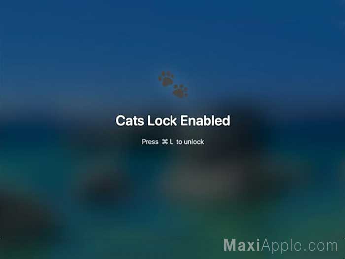 cats-lock-logiciel-app-mac-macos-verouiller-clavier-chat
