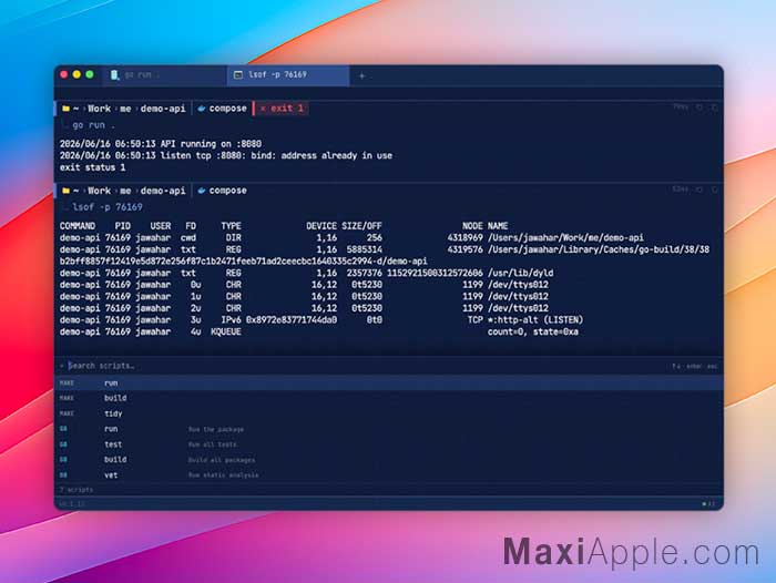 jebi-app-alternative-ai-locale-sans-api-terminal-assistant-ia-mac-macos-gratuit-