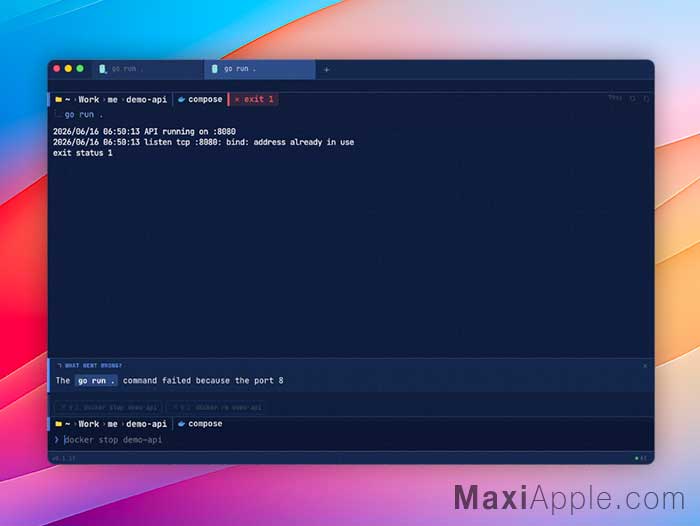 jebi-app-alternative-ai-locale-sans-api-terminal-assistant-ia-mac-macos-gratuit-