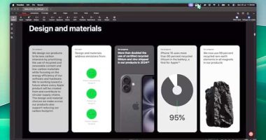 findit-search-your-screen-mac-macos-moteur-recherche-image-texte-ia-ai-gratuit