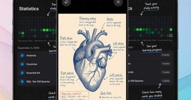 deste-flashcards-app-etudiant-etude-ios-iphone-ipad-mac-macos-gratuit