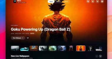 muro-app-logiciel-fonds-ecran-video-galerie-open-source-mac-macos-gratuit