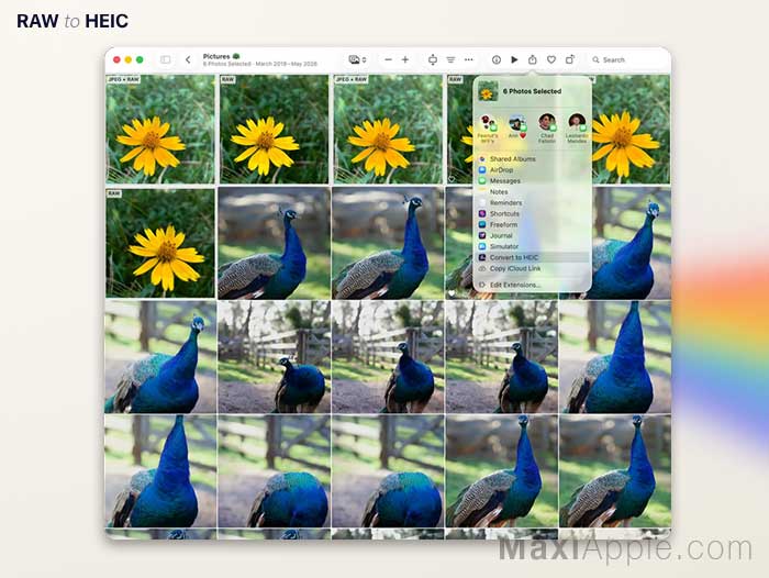 rawtoheic-convertisseur-apple-photos-raw-proraw-heic-iphone-ipad-ios-mac-macos-gratui