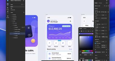 desigma-app-alternative-open-source-libre-figma-macos-mac-pc-windows-gratuit