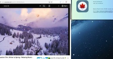 momiji-web-browser-navigateur-firefox-anciens-mac-macos-10-legacy-gratuit